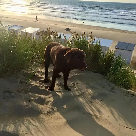 Nordsee-glamping Mobilheim 2416 * 브레데네